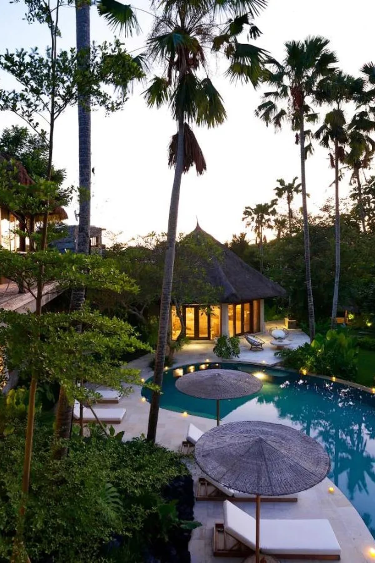 Planta Luxury
