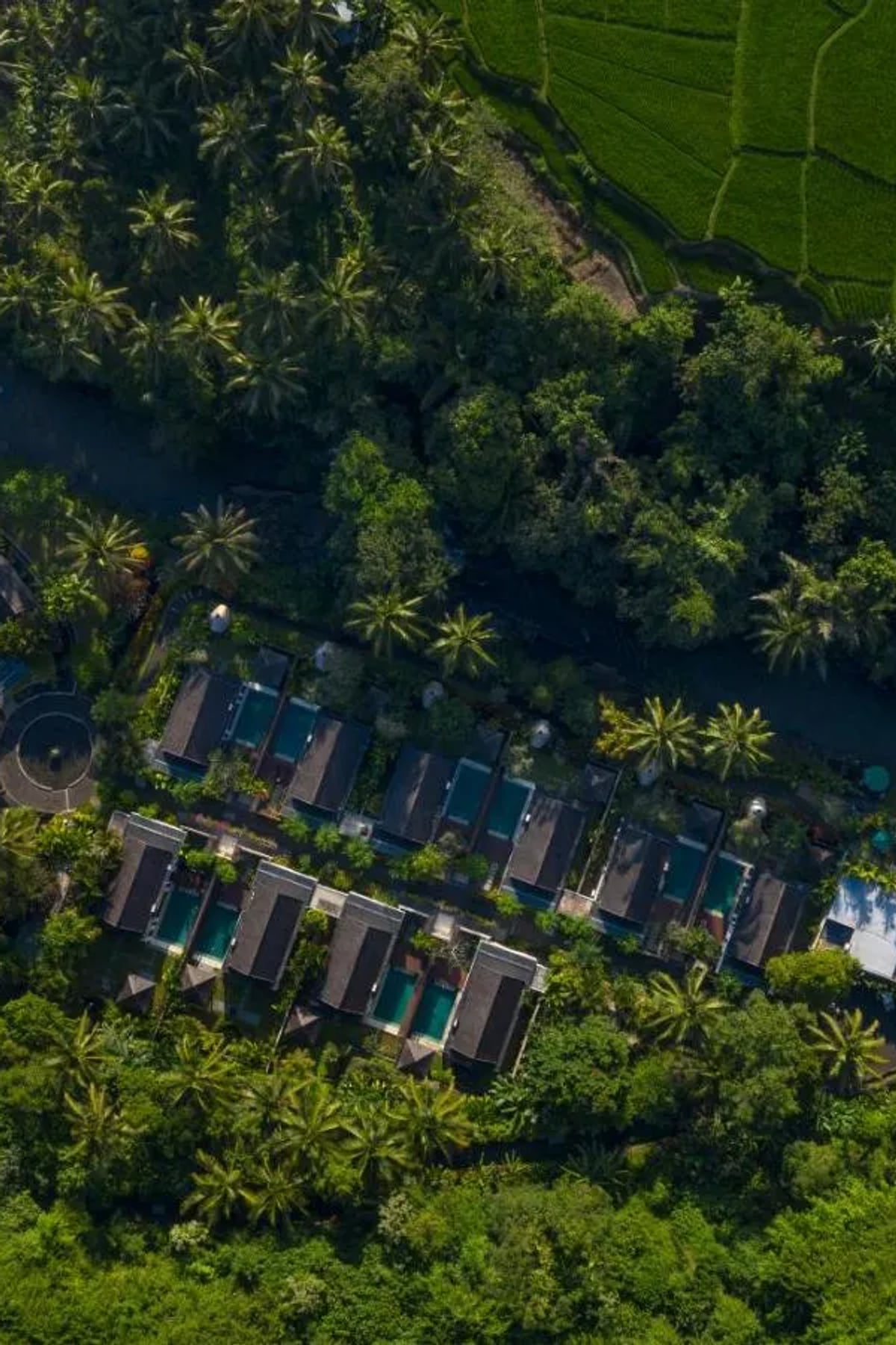 The Samaya Ubud