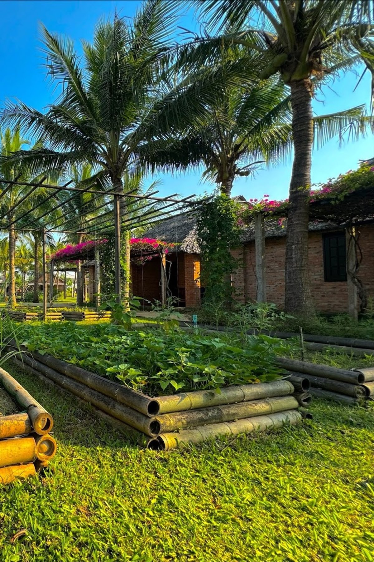 ENSO Retreat Hoi An