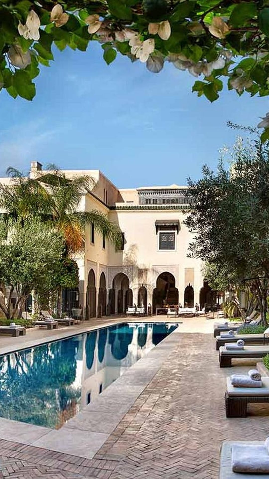 Riad Mena & Beyond