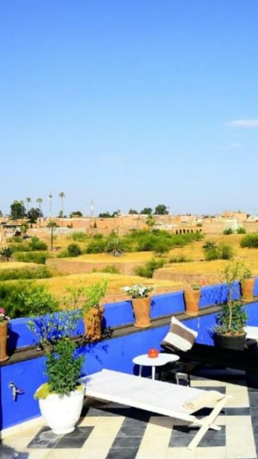 Riad Goloboy