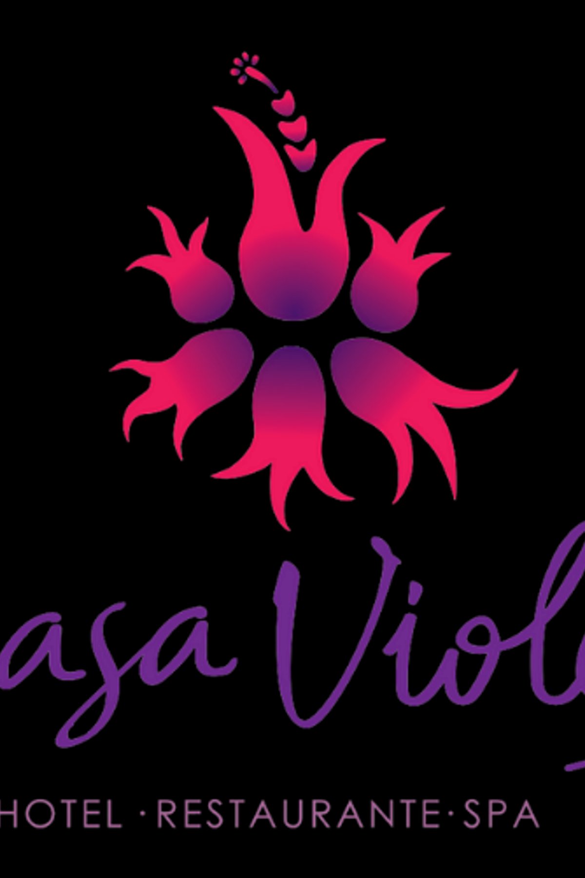 Casa Violeta