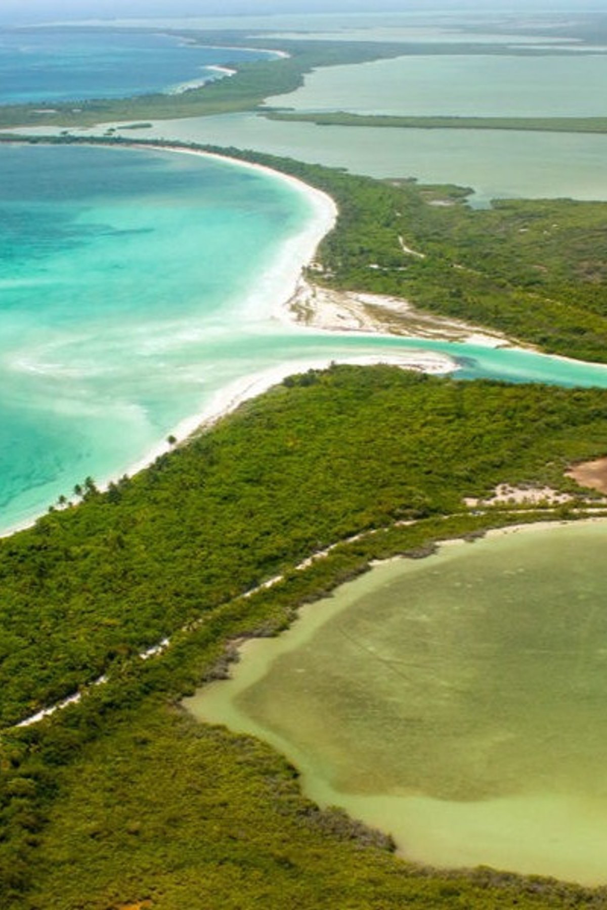 Hotel Cielo y Selva